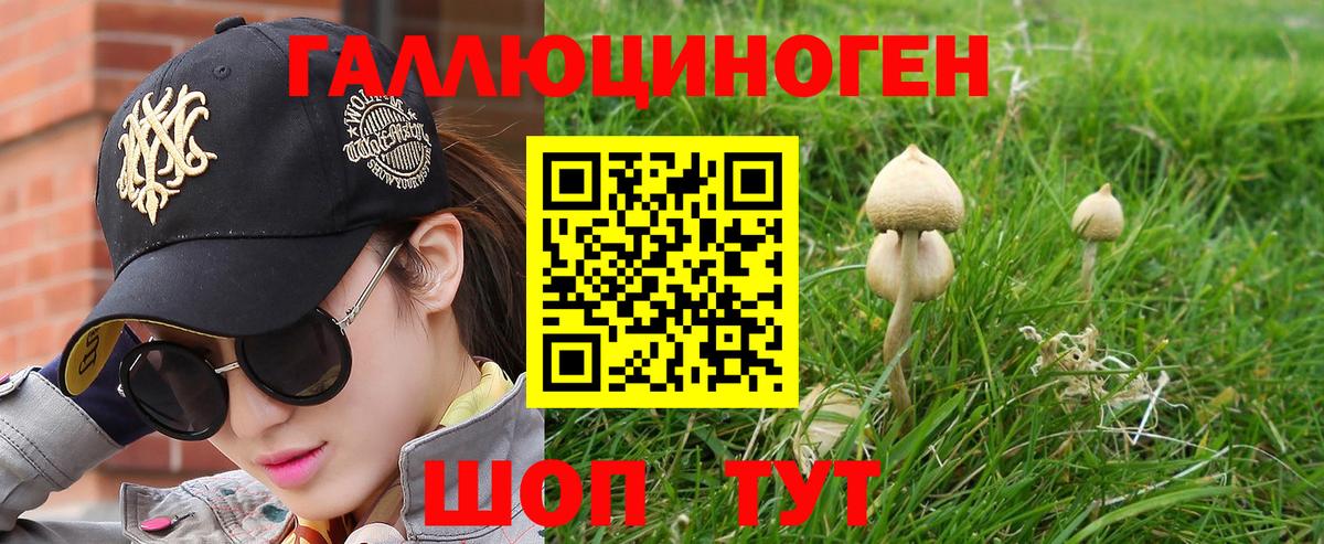 наркота  Псилоцибиновые грибы ЛСД  Псилоцибиновые грибы мухоморы  Вход с VPN  Димитровград 